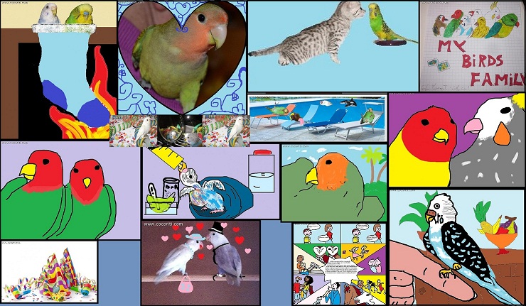 my art gallery